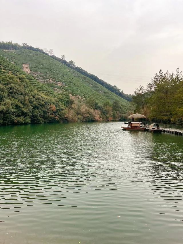 莊生夢蝶，逍遙山水間：君瀾·安吉老莊山居