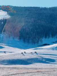 南方小土豆北上冬日追雪冷門地呼和浩特