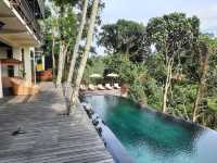 烏布的隱秘天堂 | Ubud Hidden Paradise   酒店：烏布坦加裕達考曼卡酒店 