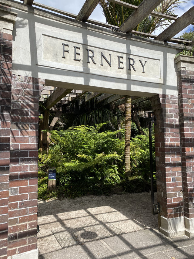 Discover Auckland's Domain Wintergardens: A Free Floral Escape