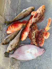洛杉磯最佳捕魚地點盤點