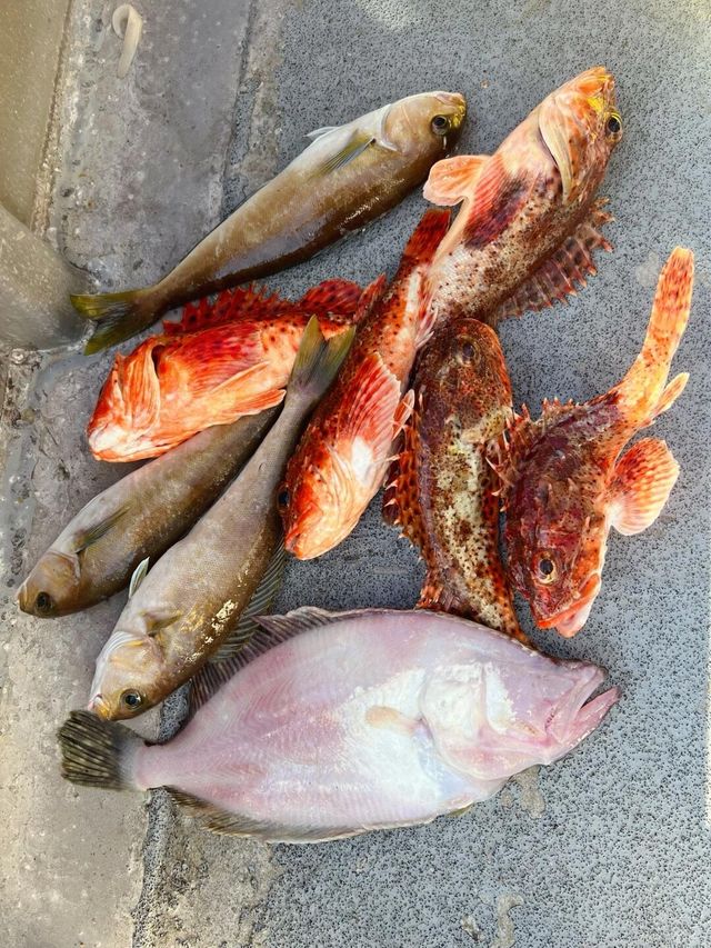 洛杉磯最佳捕魚地點盤點