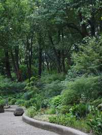 市區免費遛娃——長壽公園