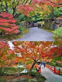 日本•島根縣｜由志園、足立美術館