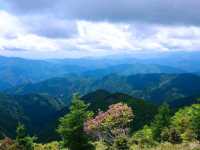 鷹巢山