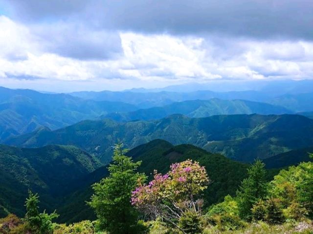 鷹巢山