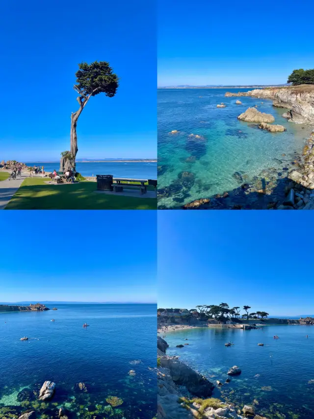 《邂逅蒙特雷，開啟別樣旅行篇章》