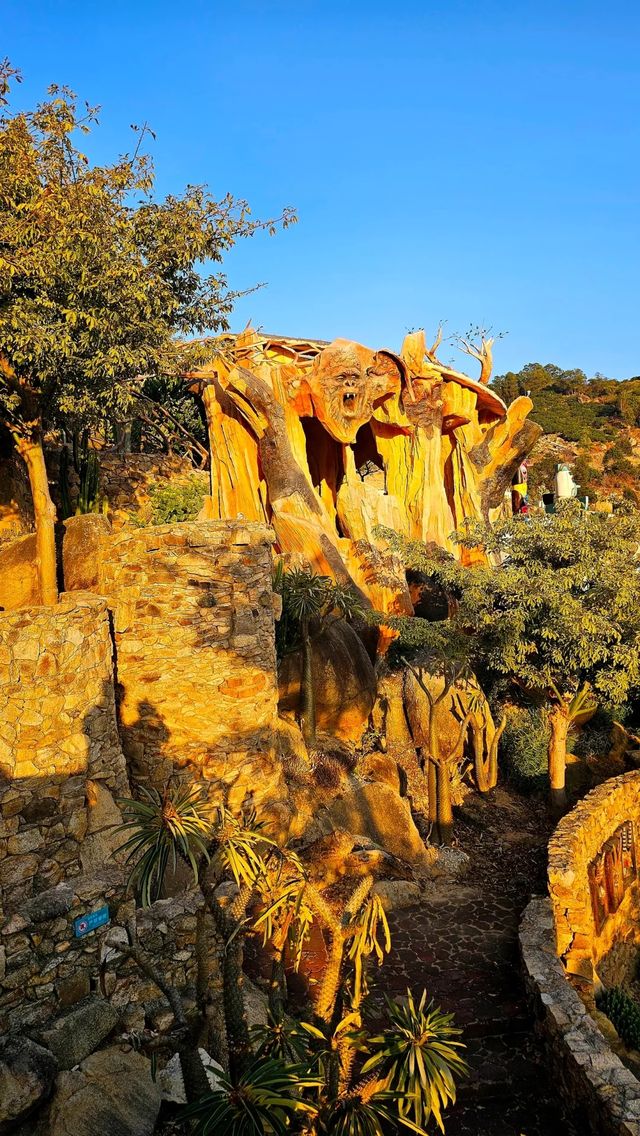 石岩植物園真的值得逛一逛