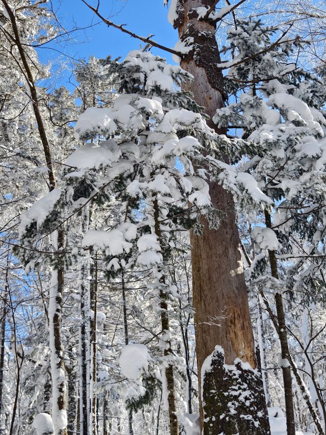 老里克湖徒步||喜歡玩雪的我很開心~~