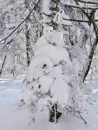 老里克湖徒步||喜歡玩雪的我很開心~~