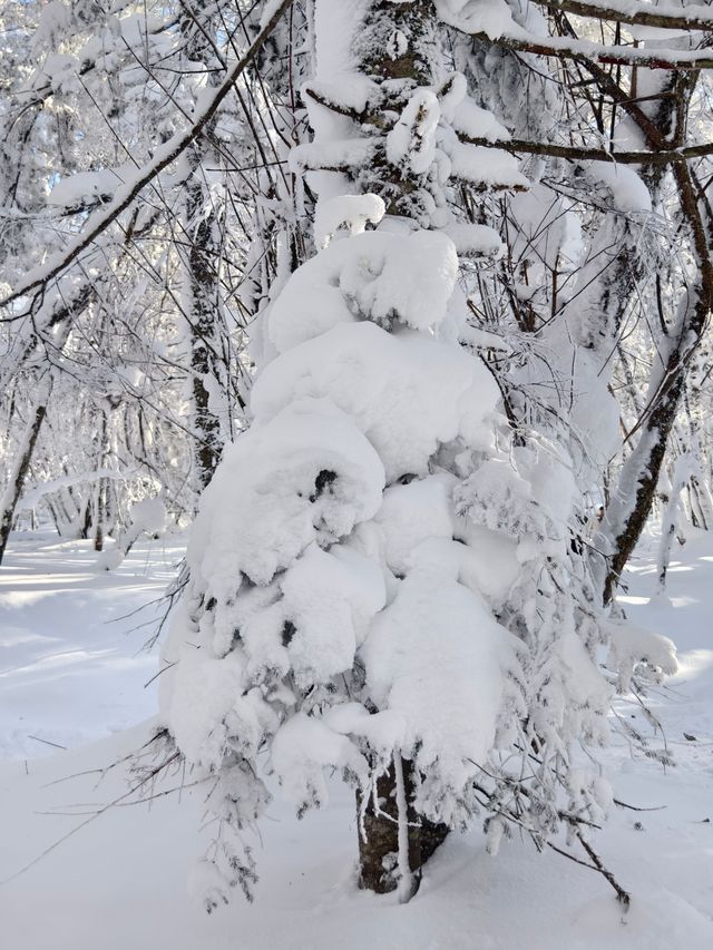 老里克湖徒步||喜歡玩雪的我很開心~~