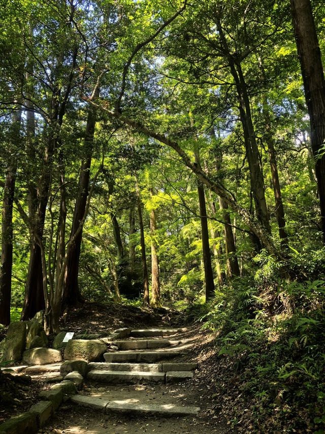 寒假要去｜日本溫泉之旅超治癒