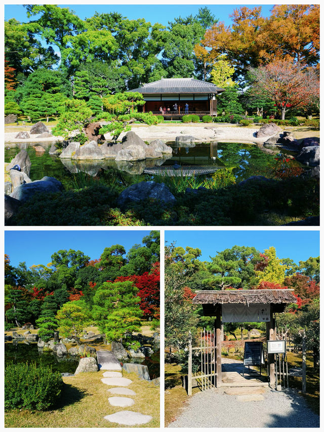 日本之旅·京都｜純玩一日遊攻略這些歷史文化遺產不要錯過