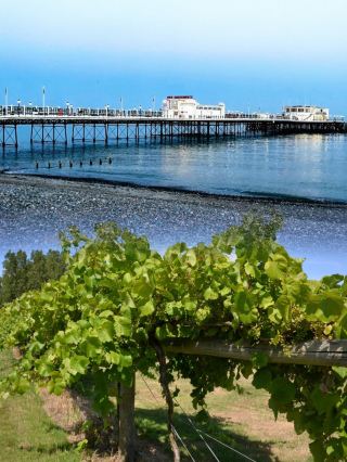 Visit Worthing, UK, and experience the charm of this coastal town