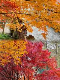 廣州出發1.5h直達廣東紅色天花板