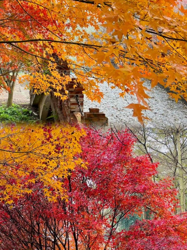 廣州出發1.5h直達廣東紅色天花板
