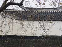下雨天和園林更配哦-可園拍照打卡攻略
