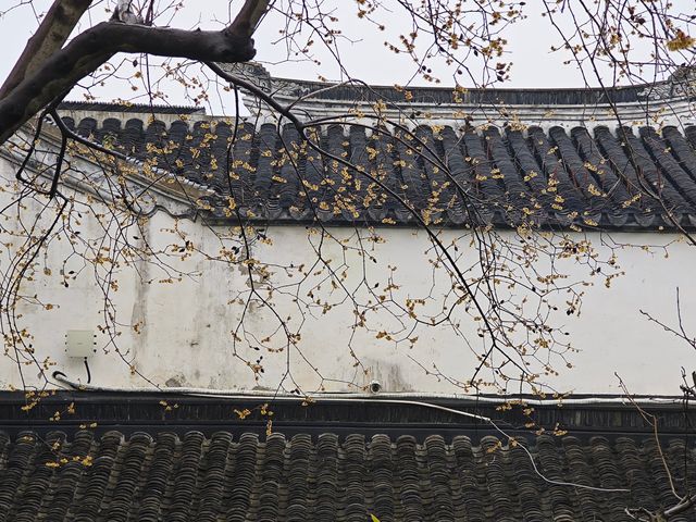 下雨天和園林更配哦-可園拍照打卡攻略