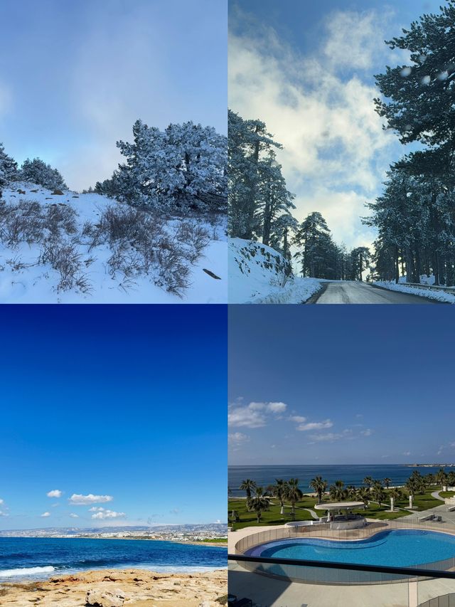 利馬索爾：地中海的夢幻華章