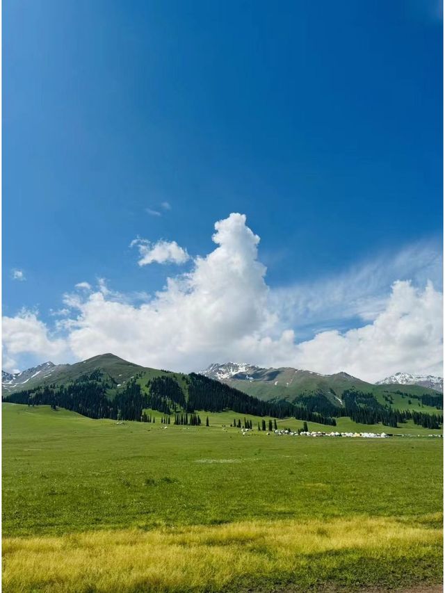 寒假帶老年人遊木蘭圍場-烏蘭布統 美景不容錯過