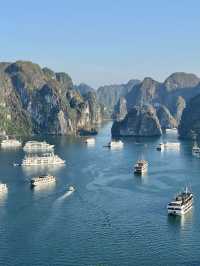 越南等多國連遊 老年人旅行優選攻略