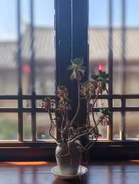 麗江古城，被這家民宿震驚住了