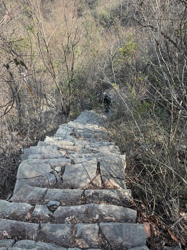 宜昌百里荒高山草原風景區