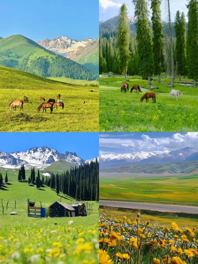 신장 남북 신장 순수 여행 18일 가이드