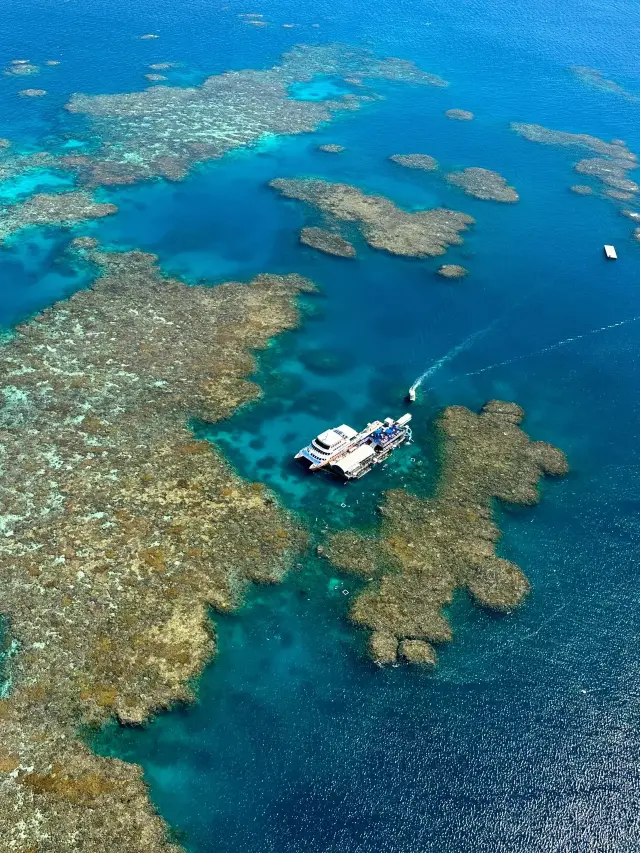 호주 11일 핵심 여행, 완벽 가이드로 완전 정복!