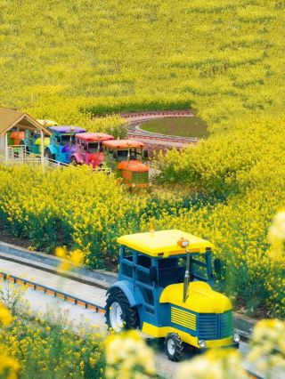 Gorgeous! An Underrated Gem: "A Fairytale Pastoral Hidden in Spring"