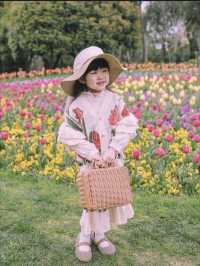 3月中旬不要錯過上海市區的這片鬱金香花海