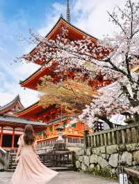 春日限定！奈良櫻花與小鹿的神仙同框攻略
