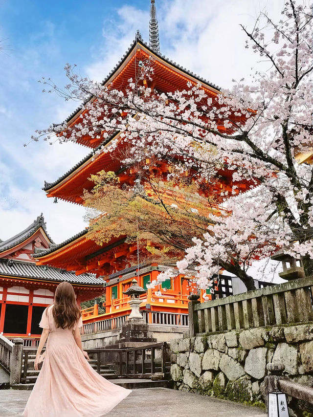 春日限定！奈良櫻花與小鹿的神仙同框攻略
