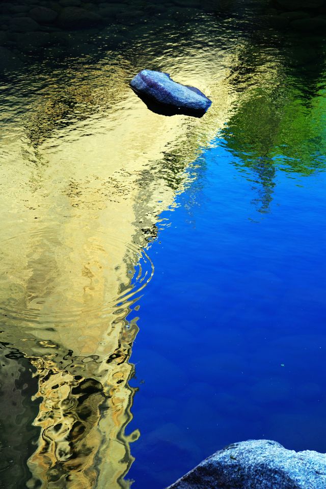 隨著歌聲在「可可托海」找「養蜂女」