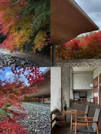 藏在日本的小眾古寺 | 福山神勝寺
