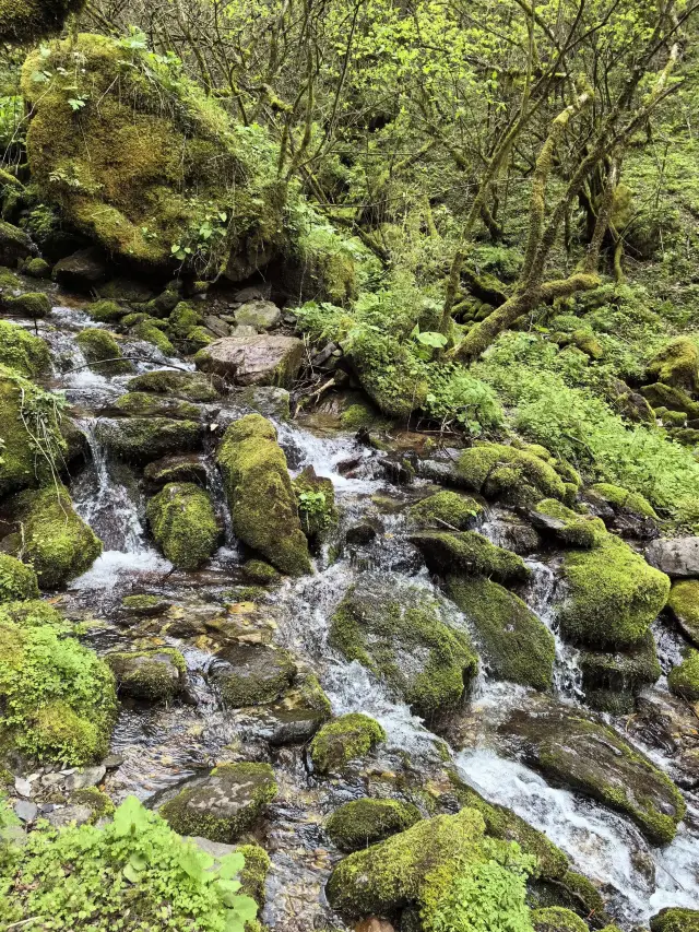 연휴를 이용한 선농가 5일 핵심 여행 가이드
