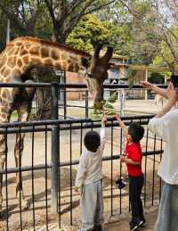廣州動物園20元的快樂