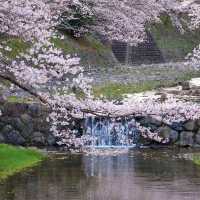 🌸京都小眾寶藏地 | 亀岡七谷川