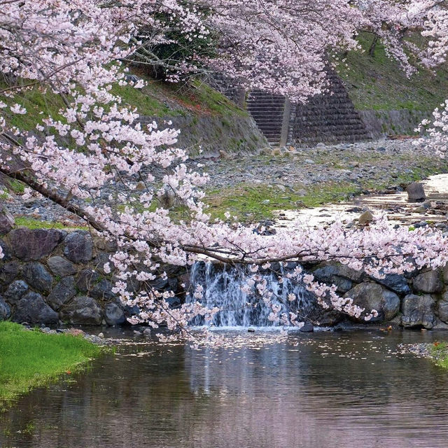 🌸京都小眾寶藏地 | 亀岡七谷川