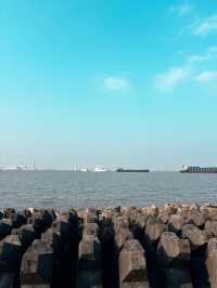 上海濱江森林公園