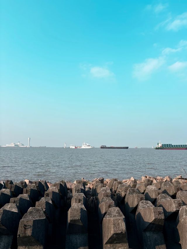 上海濱江森林公園