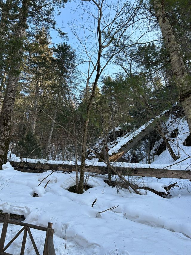 白山-延邊小長假遊玩全攻略 輕鬆玩轉不踩雷