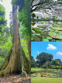 闖進綠野仙蹤！探秘茂物植物園