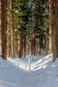 東京近郊｜雪國森林長野兩日遊攻略