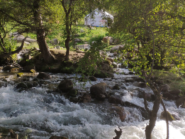 Ili Mountains – A Hidden Paradise in Xinjiang! 🏔️🌿   