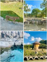 上海野生動物園的小動物們都太會整活啦