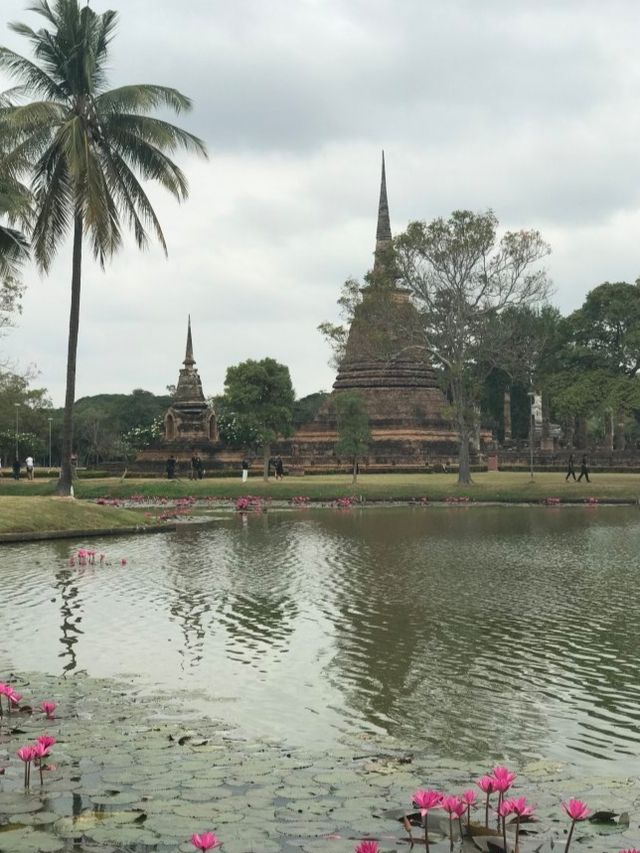 泰國洛坤
