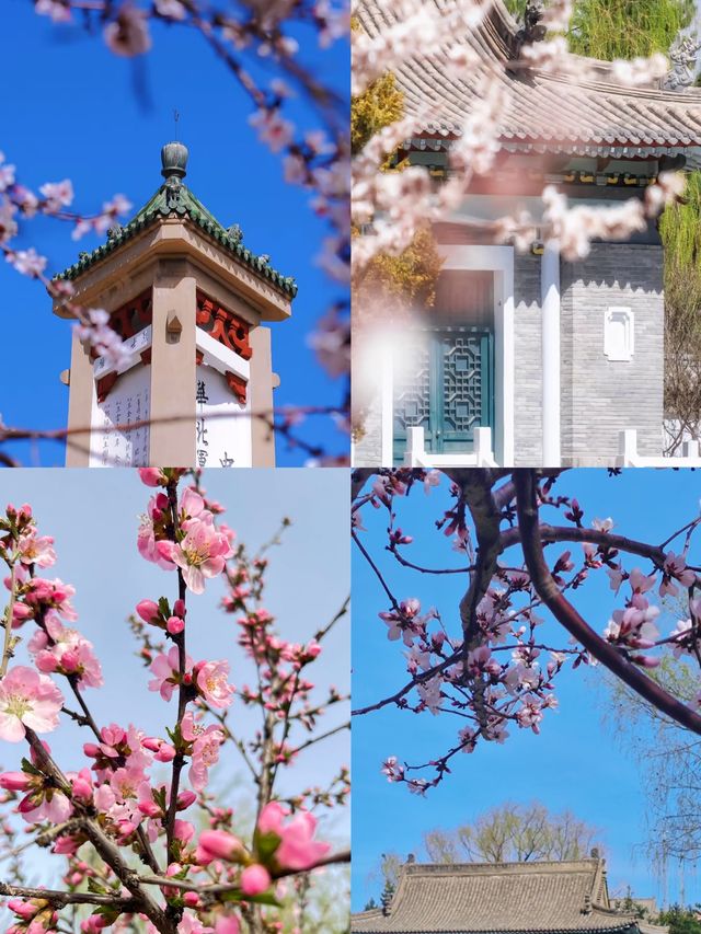 【4-7月，呼和浩特賞花全攻略】