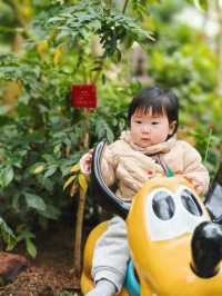 上海植物園連溫室攻略｜11個月大嬰兒感受大自然