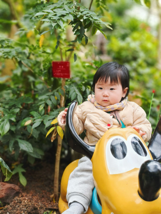 上海植物園連溫室攻略｜11個月大嬰兒感受大自然